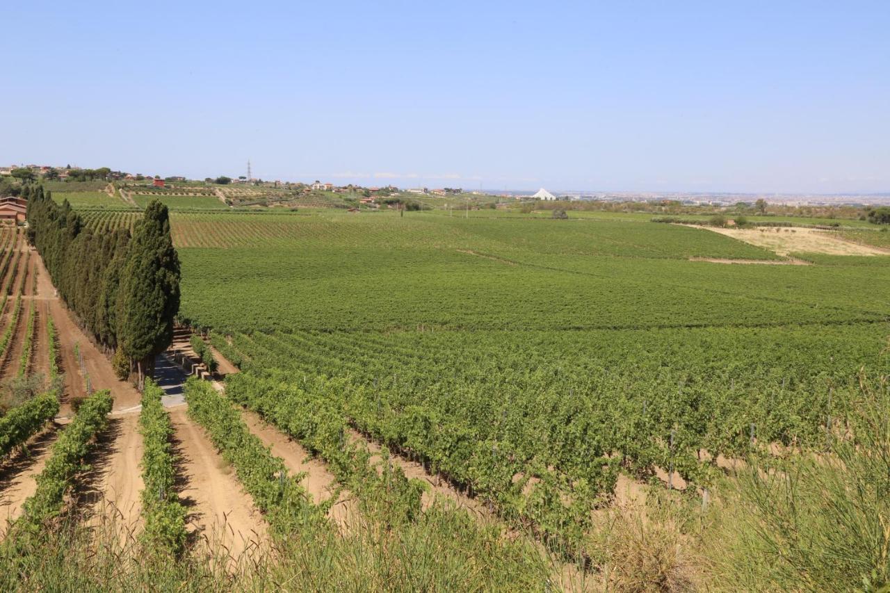 Tenuta Di Pietra Porzia Monte Porzio Catone Bagian luar foto