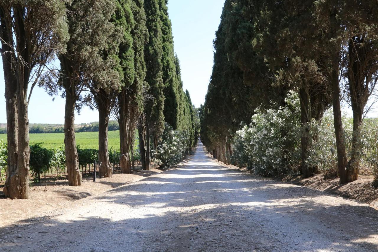 Tenuta Di Pietra Porzia Monte Porzio Catone Bagian luar foto
