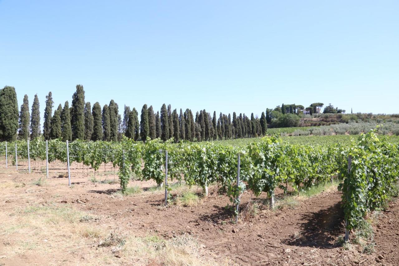 Tenuta Di Pietra Porzia Monte Porzio Catone Bagian luar foto