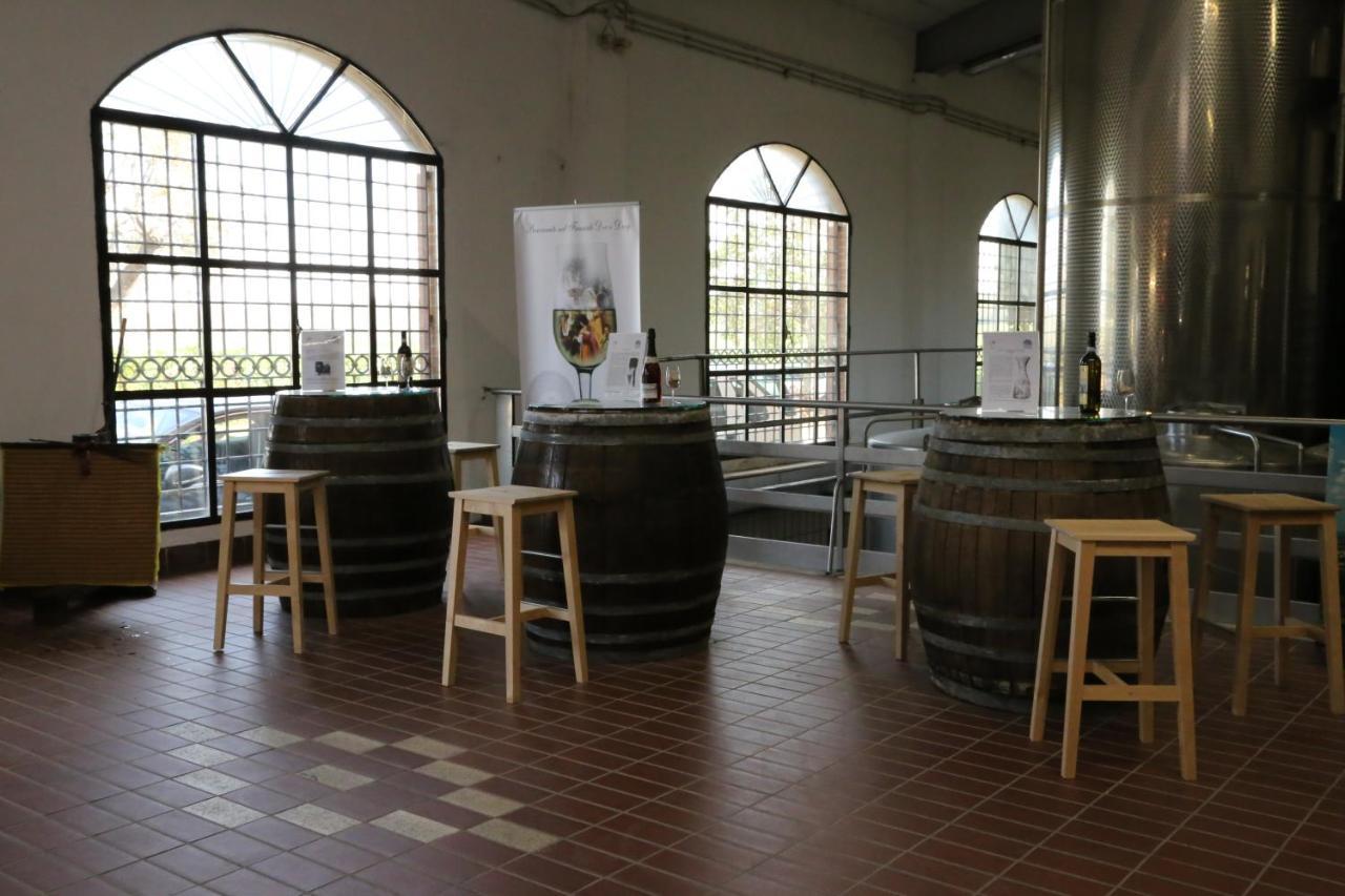 Tenuta Di Pietra Porzia Monte Porzio Catone Bagian luar foto